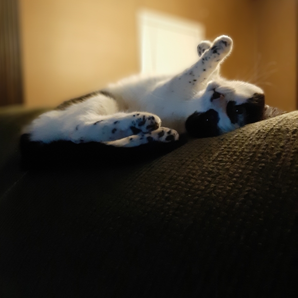 🚨🚨 Share Show🚨🚨🚨Hand Crafted Items &More🚨 Stay 🟢 - Picture 4 of 12